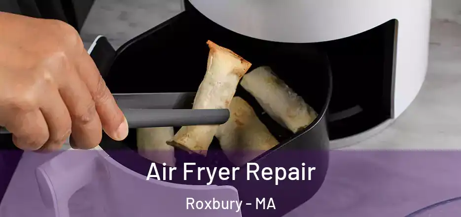 Air Fryer Repair Roxbury - MA