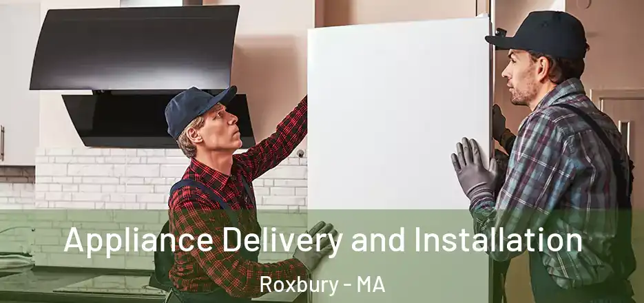 Appliance Delivery and Installation Roxbury - MA