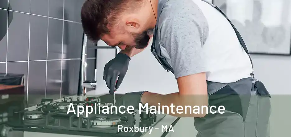 Appliance Maintenance Roxbury - MA