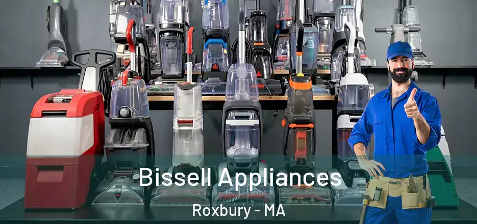 Bissell Appliances Roxbury - MA
