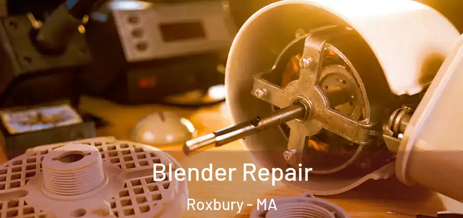 Blender Repair Roxbury - MA
