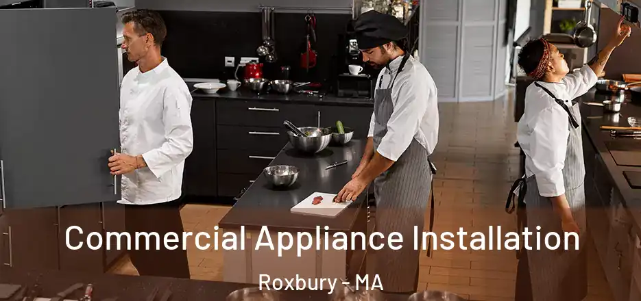 Commercial Appliance Installation Roxbury - MA