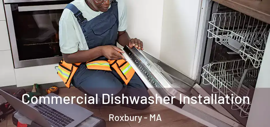 Commercial Dishwasher Installation Roxbury - MA