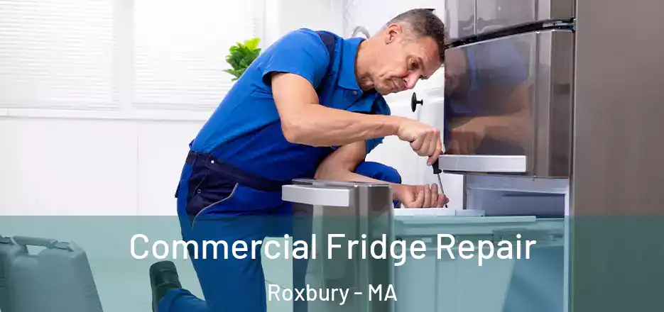  Commercial Fridge Repair Roxbury - MA