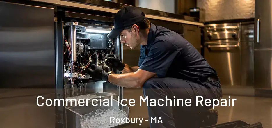  Commercial Ice Machine Repair Roxbury - MA