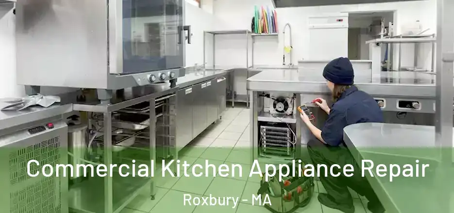 Commercial Kitchen Appliance Repair Roxbury - MA