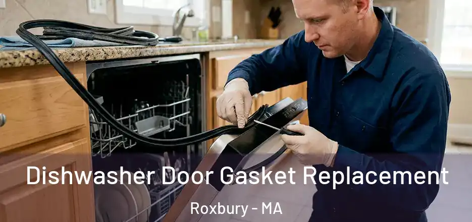 Dishwasher Door Gasket Replacement Roxbury - MA