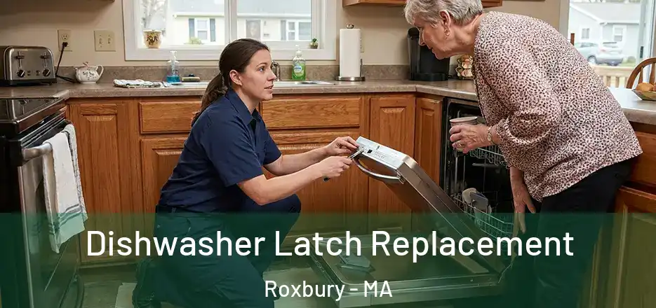  Dishwasher Latch Replacement Roxbury - MA