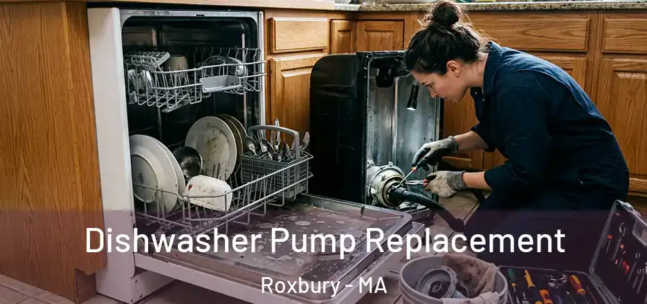 Dishwasher Pump Replacement Roxbury - MA