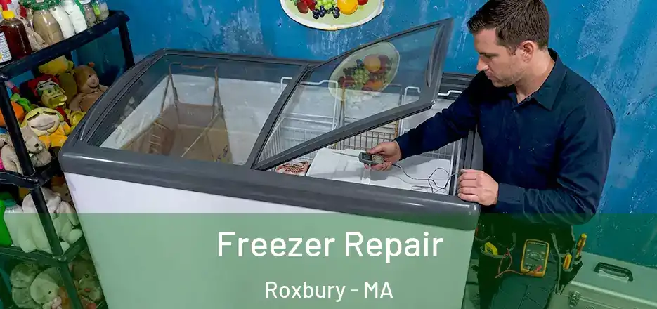 Freezer Repair Roxbury - MA