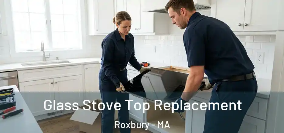  Glass Stove Top Replacement Roxbury - MA