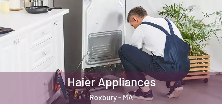 Haier Appliances Roxbury - MA