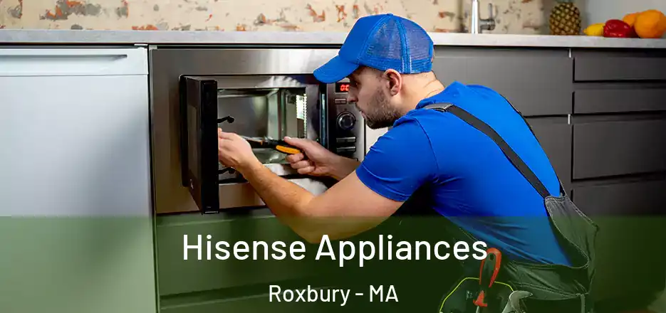 Hisense Appliances Roxbury - MA
