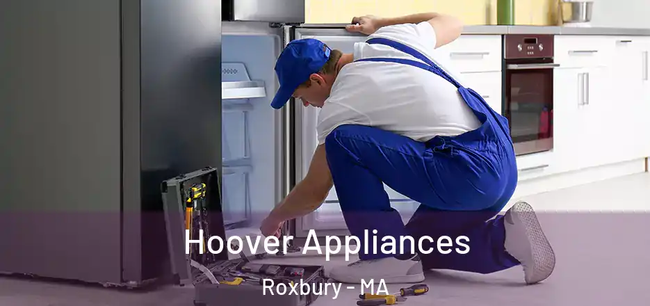  Hoover Appliances Roxbury - MA