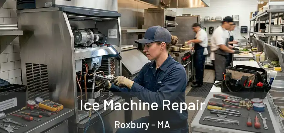 Ice Machine Repair Roxbury - MA
