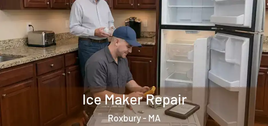 Ice Maker Repair Roxbury - MA