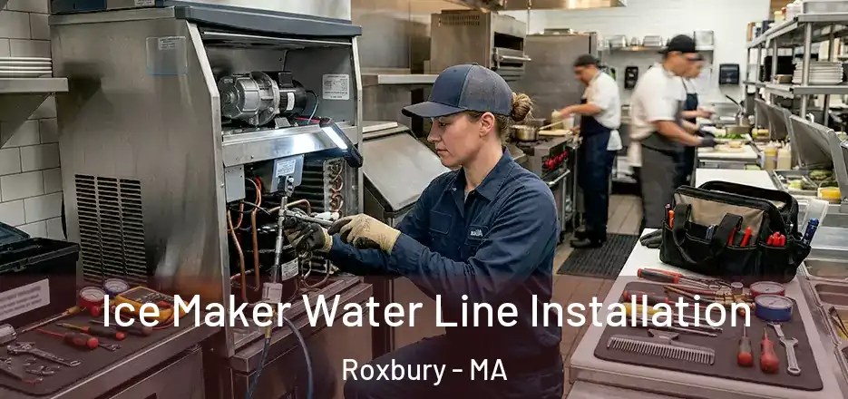 Ice Maker Water Line Installation Roxbury - MA