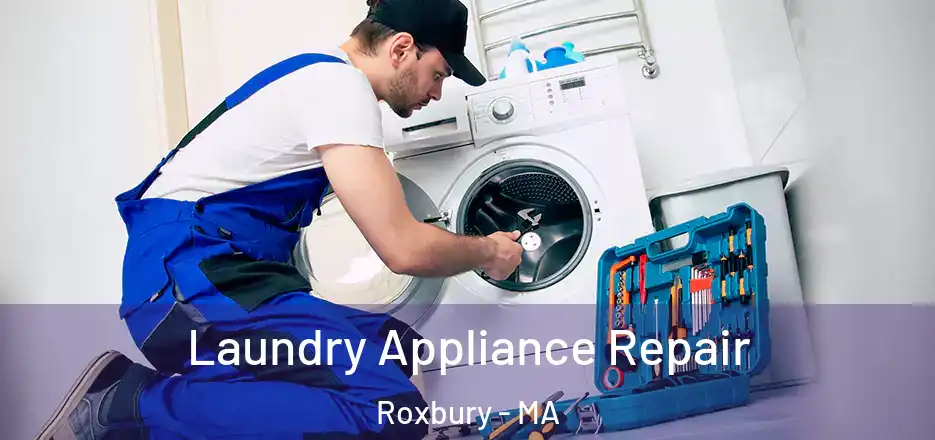 Laundry Appliance Repair Roxbury - MA