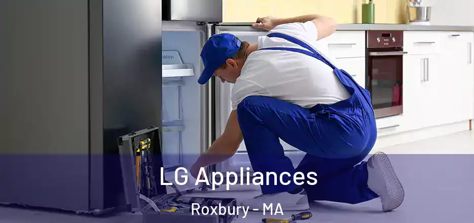 LG Appliances Roxbury - MA