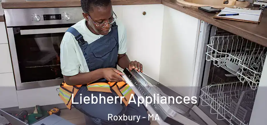 Liebherr Appliances Roxbury - MA