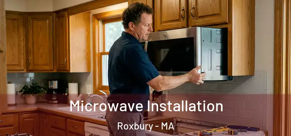 Microwave Installation Roxbury - MA
