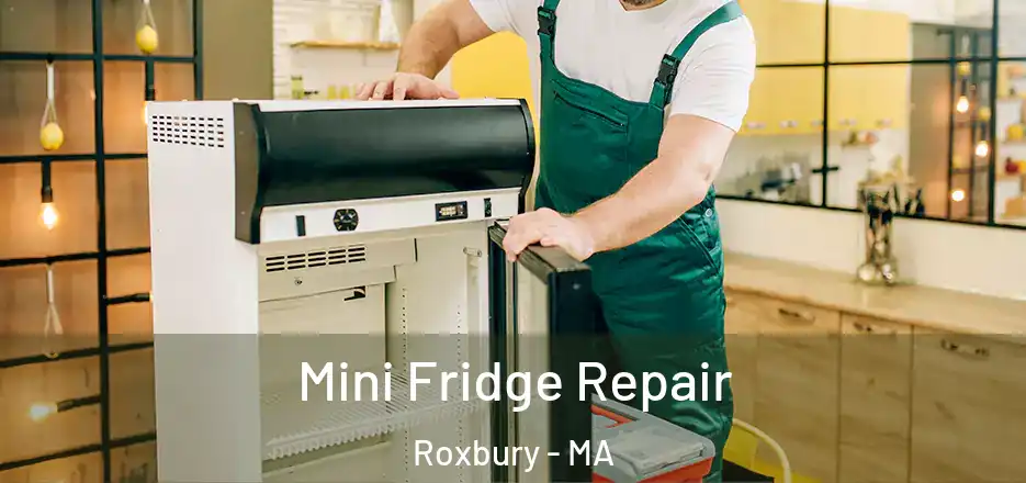 Mini Fridge Repair Roxbury - MA