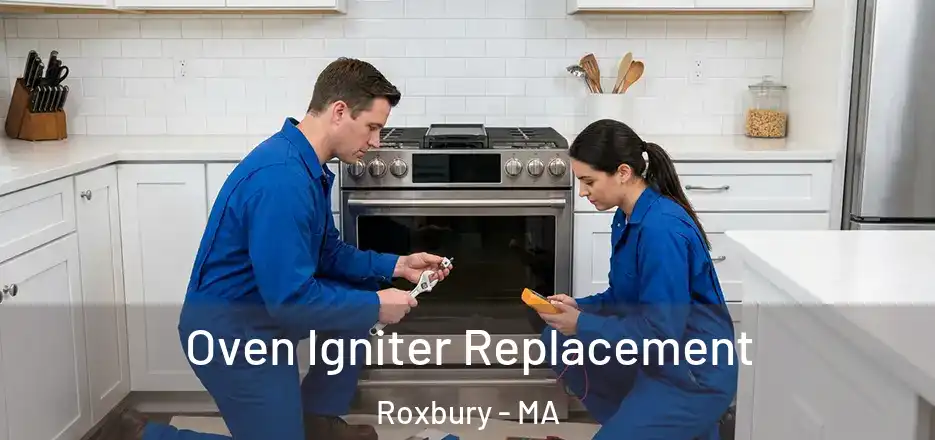 Oven Igniter Replacement Roxbury - MA
