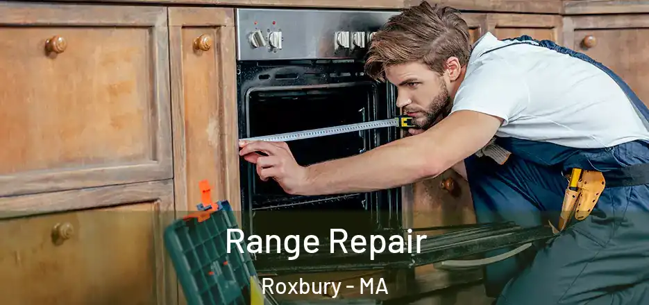 Range Repair Roxbury - MA