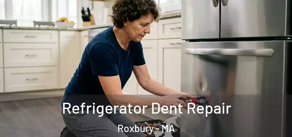  Refrigerator Dent Repair Roxbury - MA
