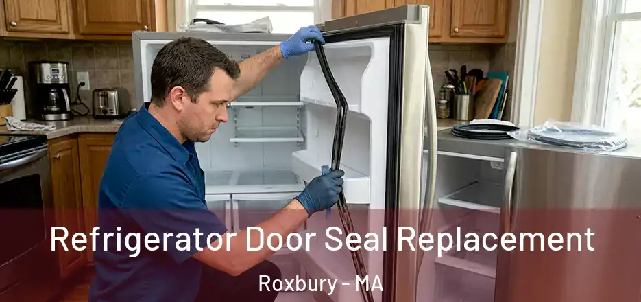 Refrigerator Door Seal Replacement Roxbury - MA