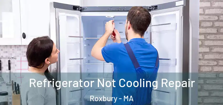 Refrigerator Not Cooling Repair Roxbury - MA