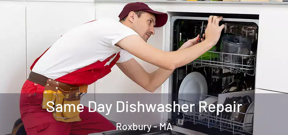 Same Day Dishwasher Repair Roxbury - MA
