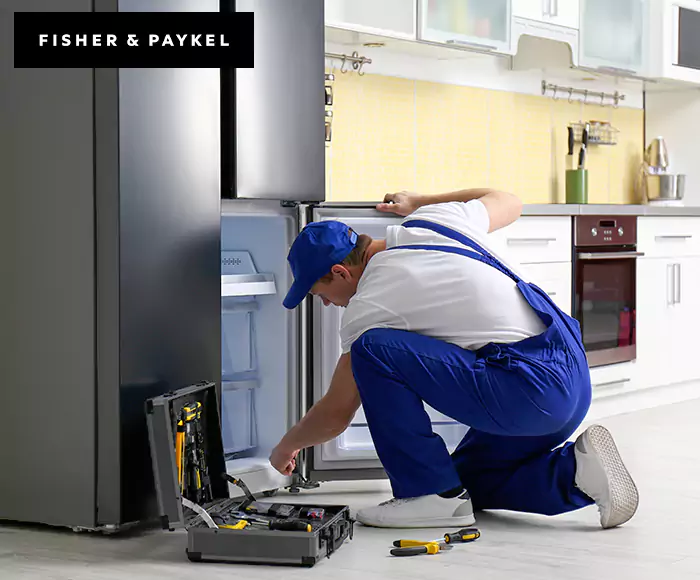 Top-Rated Fisher & Paykel Appliance Experts: Your Brand Specialist in Roxbury, MA
