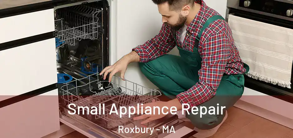 Small Appliance Repair Roxbury - MA