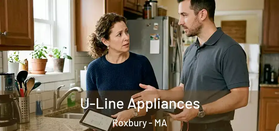  U-Line Appliances Roxbury - MA