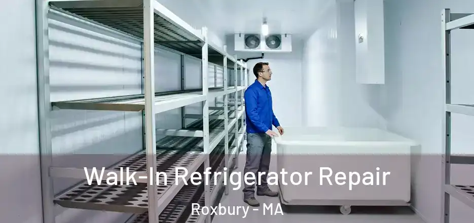  Walk-In Refrigerator Repair Roxbury - MA