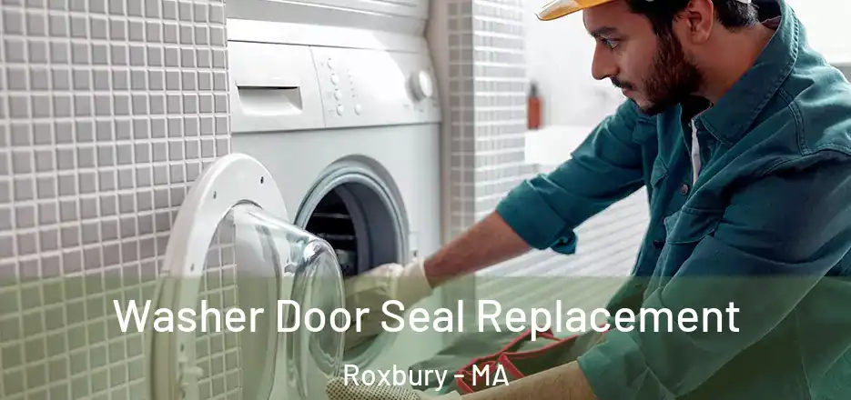 Washer Door Seal Replacement Roxbury - MA
