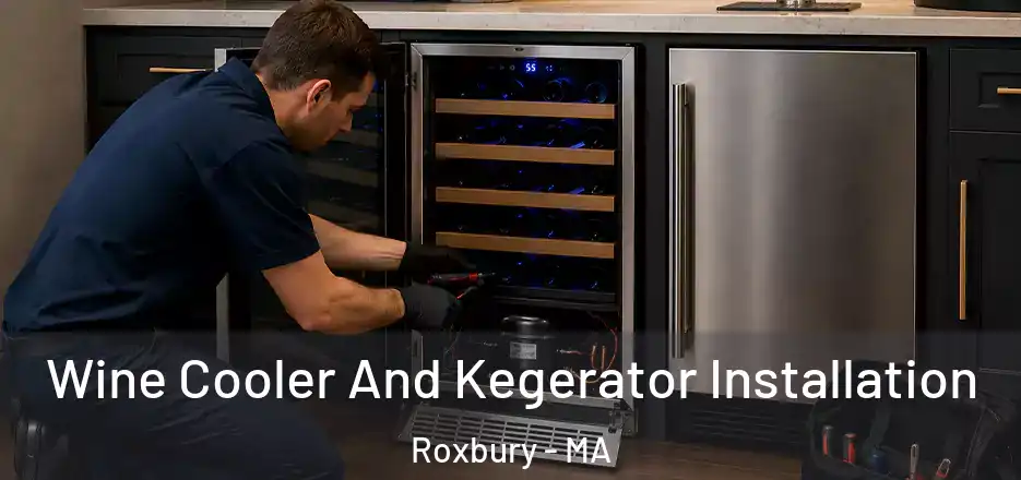 Wine Cooler And Kegerator Installation Roxbury - MA