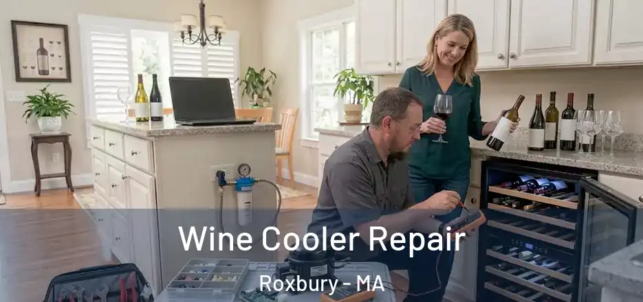Wine Cooler Repair Roxbury - MA
